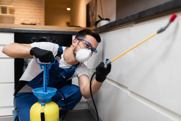 Best Wildlife Control Services  in Hollins, VA