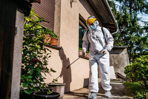 Best Rodent Control Near Me  in Hollins, VA