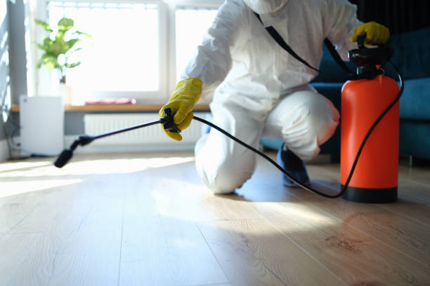 Best Termite Control Services  in Hollins, VA