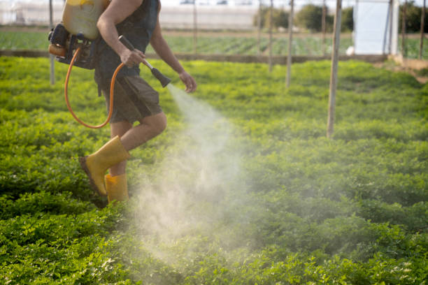 Pest Prevention Services in Hollins, VA