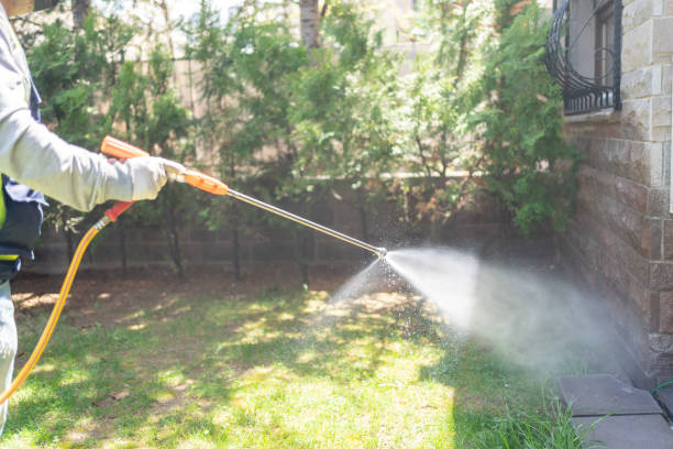 Best Pest Control for Businesses  in Hollins, VA