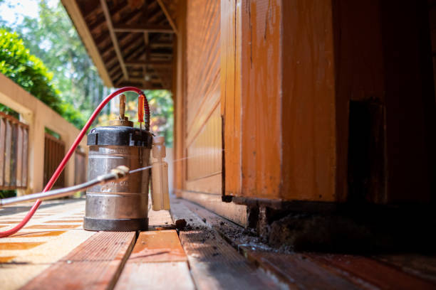 Best Pest Prevention Services  in Hollins, VA
