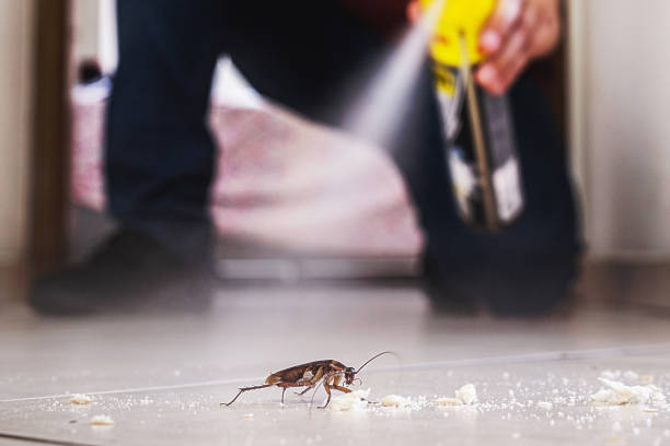 Best Pest Inspection Near Me  in Hollins, VA